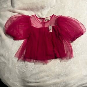 Anthropologie Sheer Puff Sleeve Crop Top